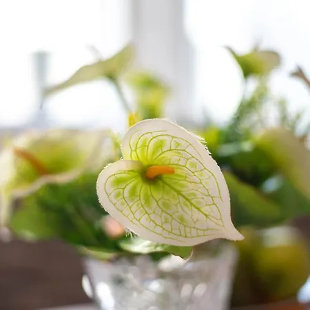 アパート Spacious Snowwhite